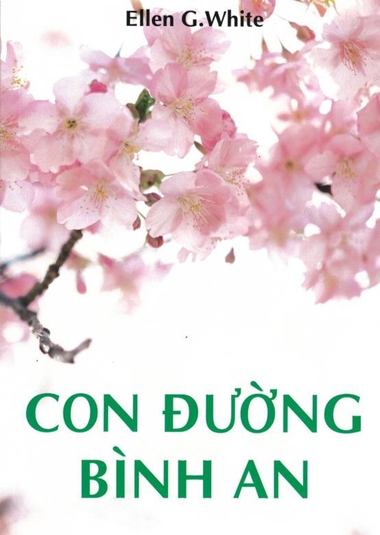 ADVEDIA VISION e. V. -Der rettende Weg, Vietnamesisch (Con Duong binh an)_2542764_1 ADVEDIA VISION e. V. -Der rettende Weg, Vietnamesisch (Con Duong binh an)_2542764_