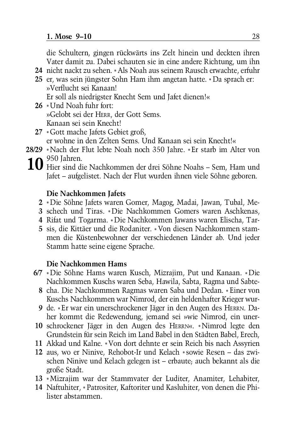 SCM Brockhaus-Bibel, Neues Leben, grosse Schrift_2942261_