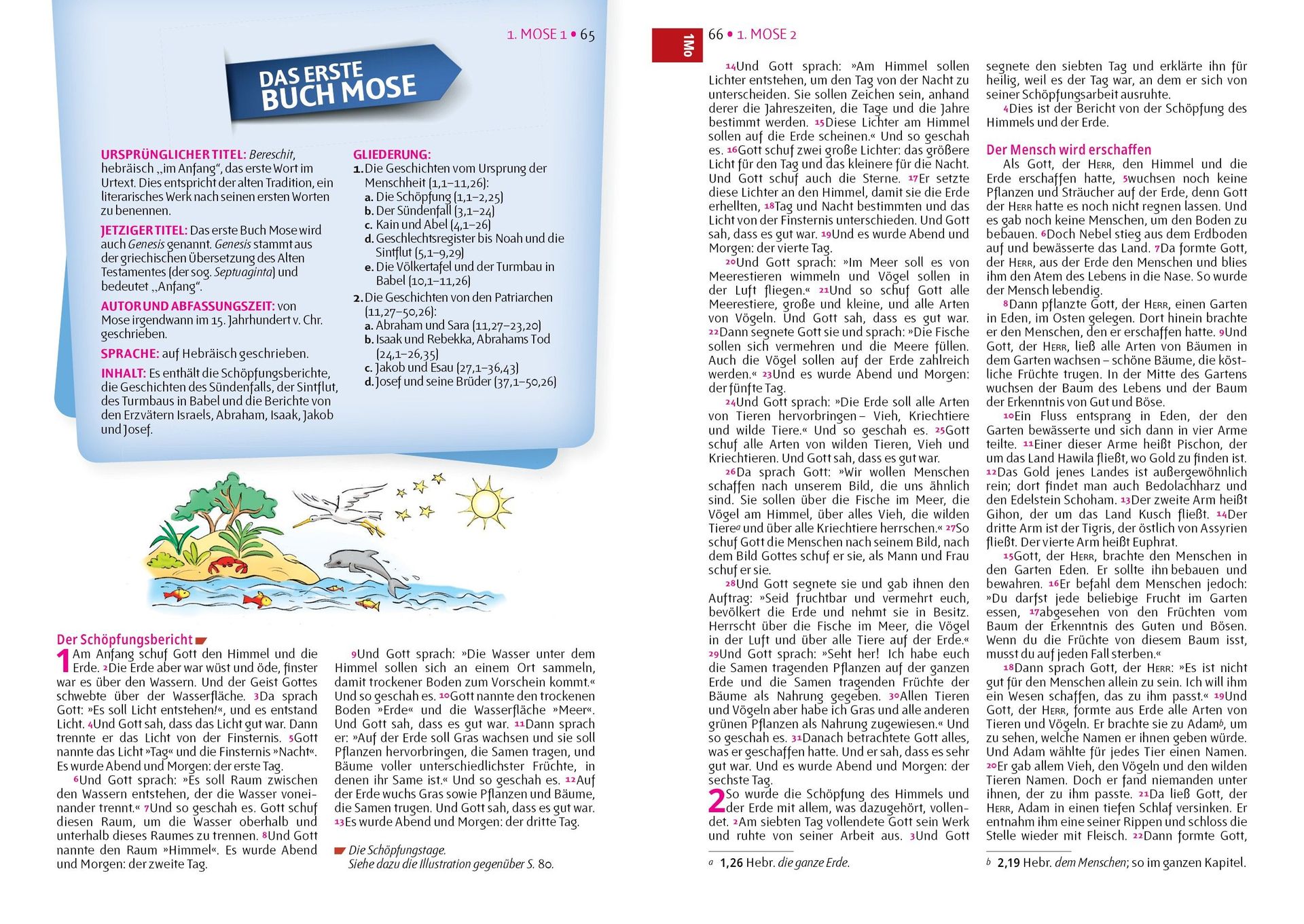 Editorial Safeliz S.L.-Bibel, Neues Leben, Pfadfinder, Taschen, pink-gelb_2422596_
