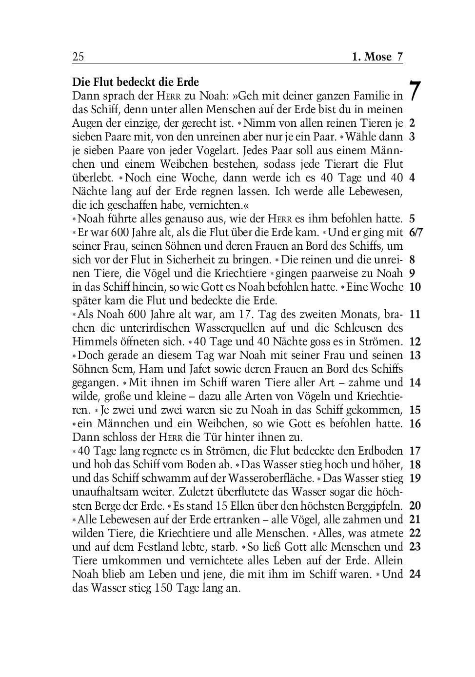 SCM Brockhaus-Bibel, Neues Leben, grosse Schrift_2942261_24 SCM Brockhaus-Bibel, Neues Leben, grosse Schrift_2942261_