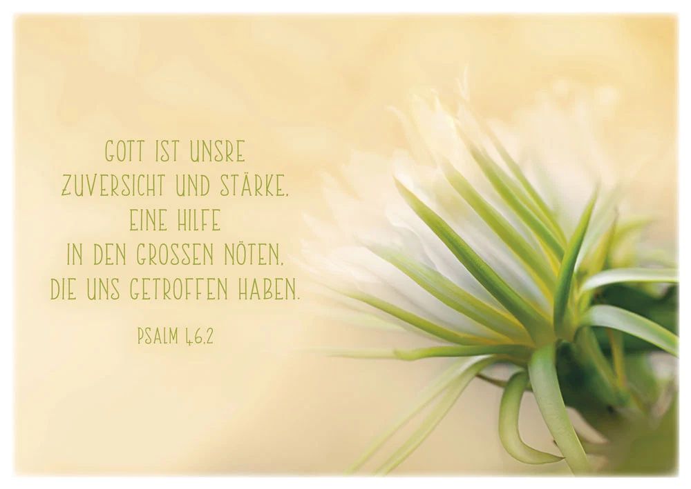 Bolanz Verlag-Postkartenbox: Getragen und getröstet_4943078_
