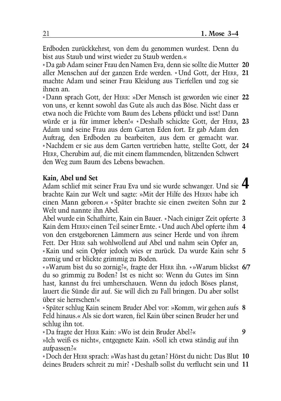 SCM Brockhaus-Bibel, Neues Leben, grosse Schrift_2942261_