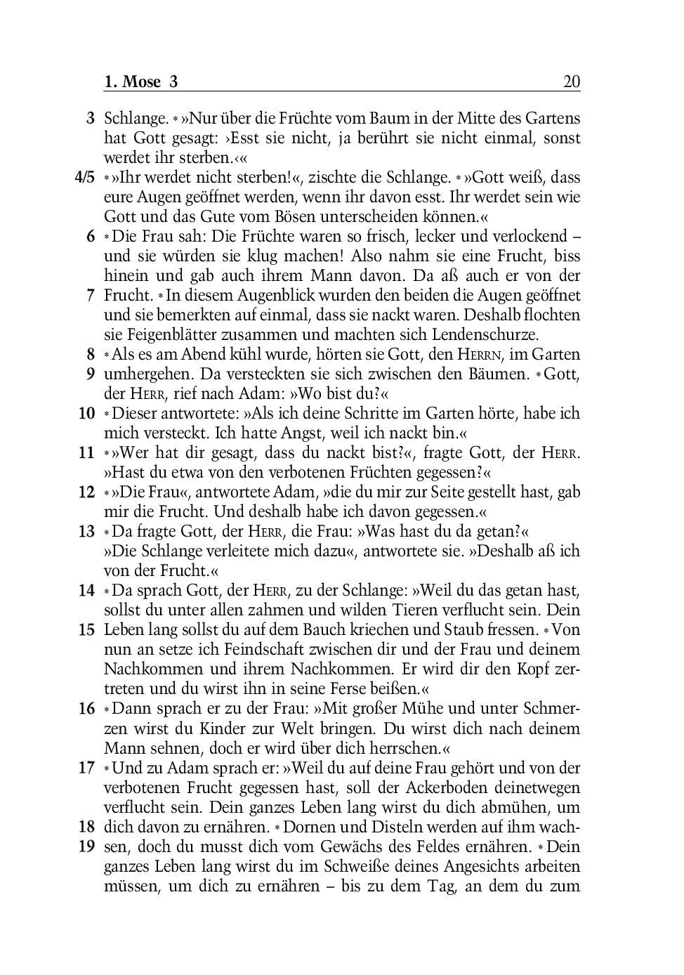 SCM Brockhaus-Bibel, Neues Leben, grosse Schrift_2942261_19 SCM Brockhaus-Bibel, Neues Leben, grosse Schrift_2942261_