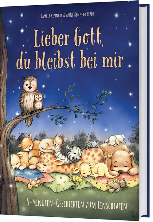 Gerth Medien-Lieber Gott, du bleibst bei mir_2942359_