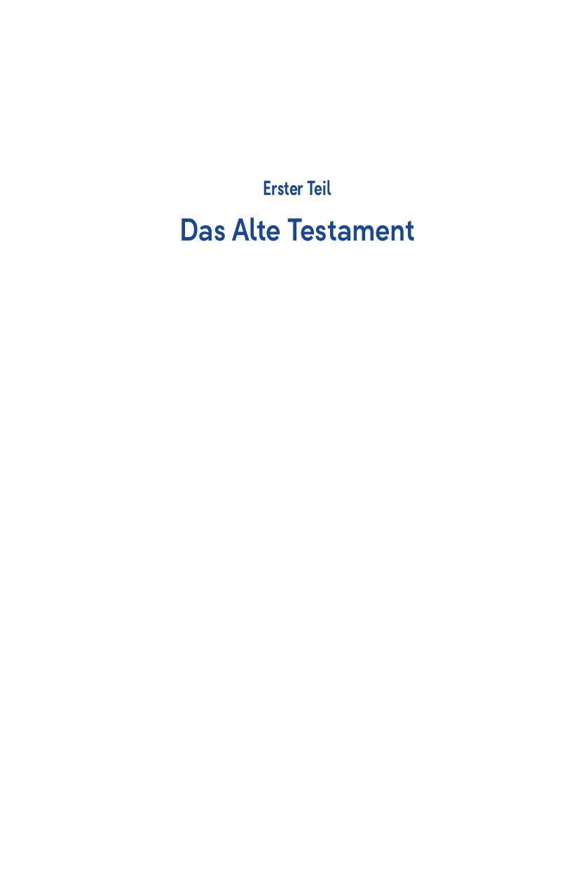 SCM Brockhaus-Bibel, Elberfelder, Brockhaus, Standard, Kunstleder grau Reissverschluss_2942466_
