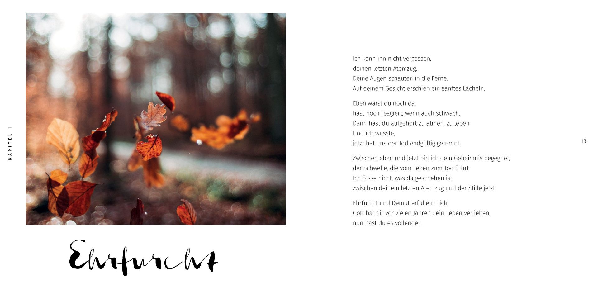Advent-Verlag GmbH-Trostbuch_2421464_6 Advent-Verlag GmbH-Trostbuch_2421464_