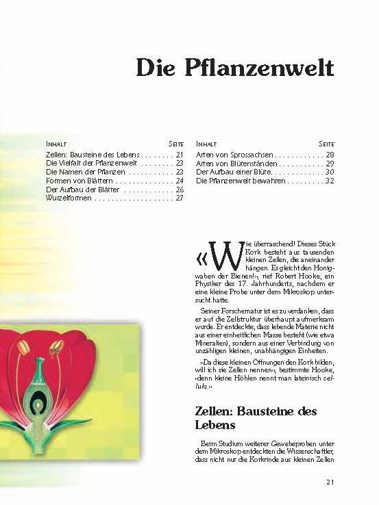 Advent-Verlag Schweiz-Heilkräfte der Pflanzen_2210177_9 Advent-Verlag Schweiz-Heilkräfte der Pflanzen_2210177_
