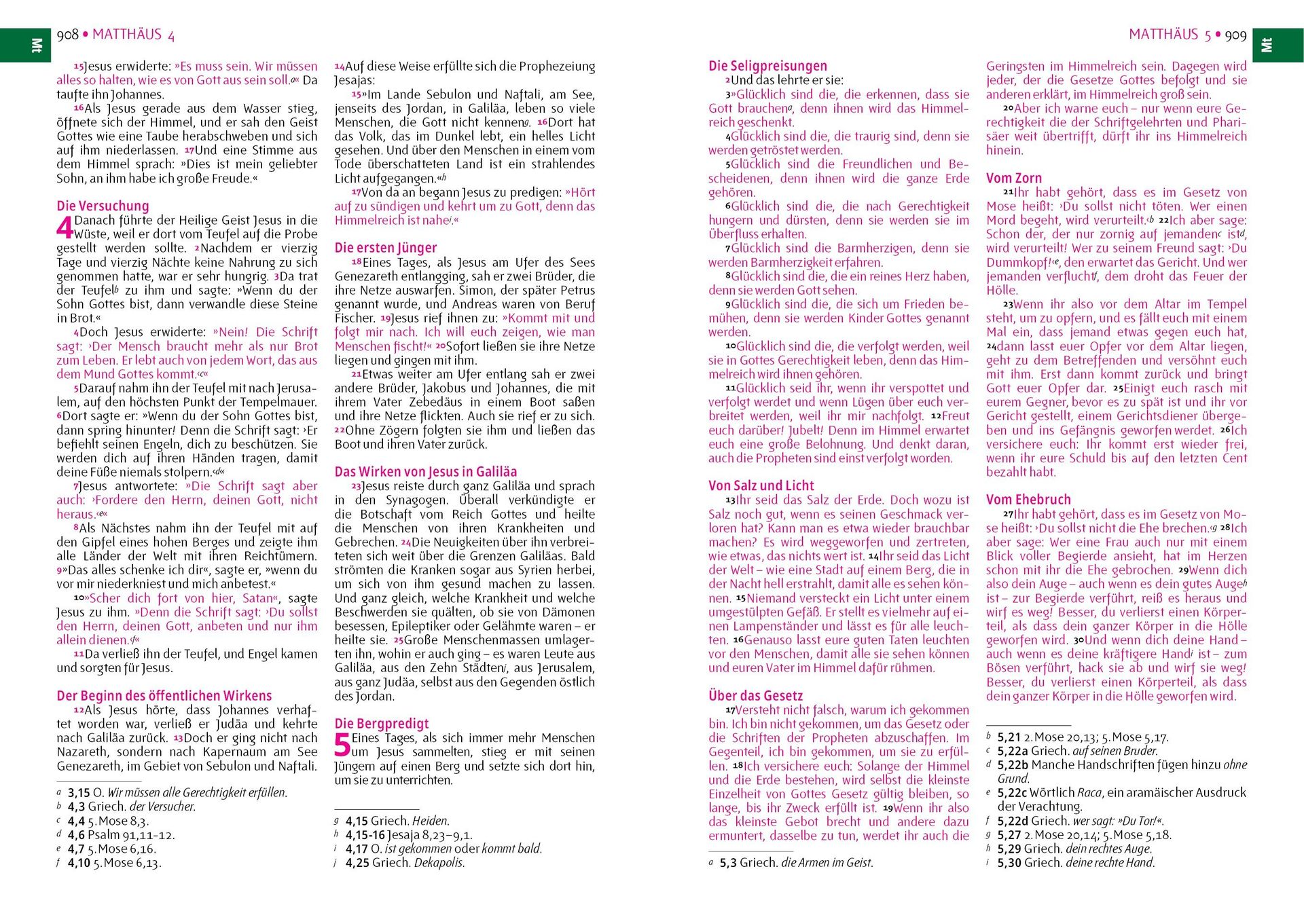 Advent-Verlag GmbH-Bibel, Neues Leben, Pfadfinder, Taschen, grau-rot_2921800_