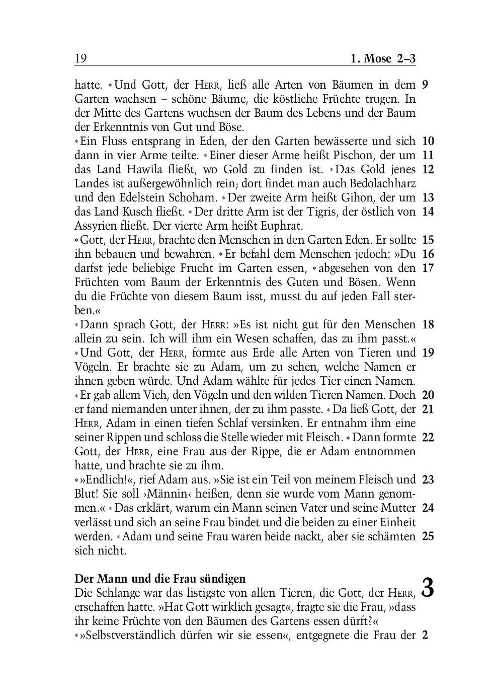 SCM Brockhaus-Bibel, Neues Leben, grosse Schrift_2942261_