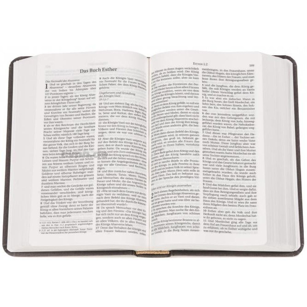 CLV Christliche Literatur-Verbreitung-Bibel, Schlachter 2000, Miniatur, Hardcover, grau_2941779_