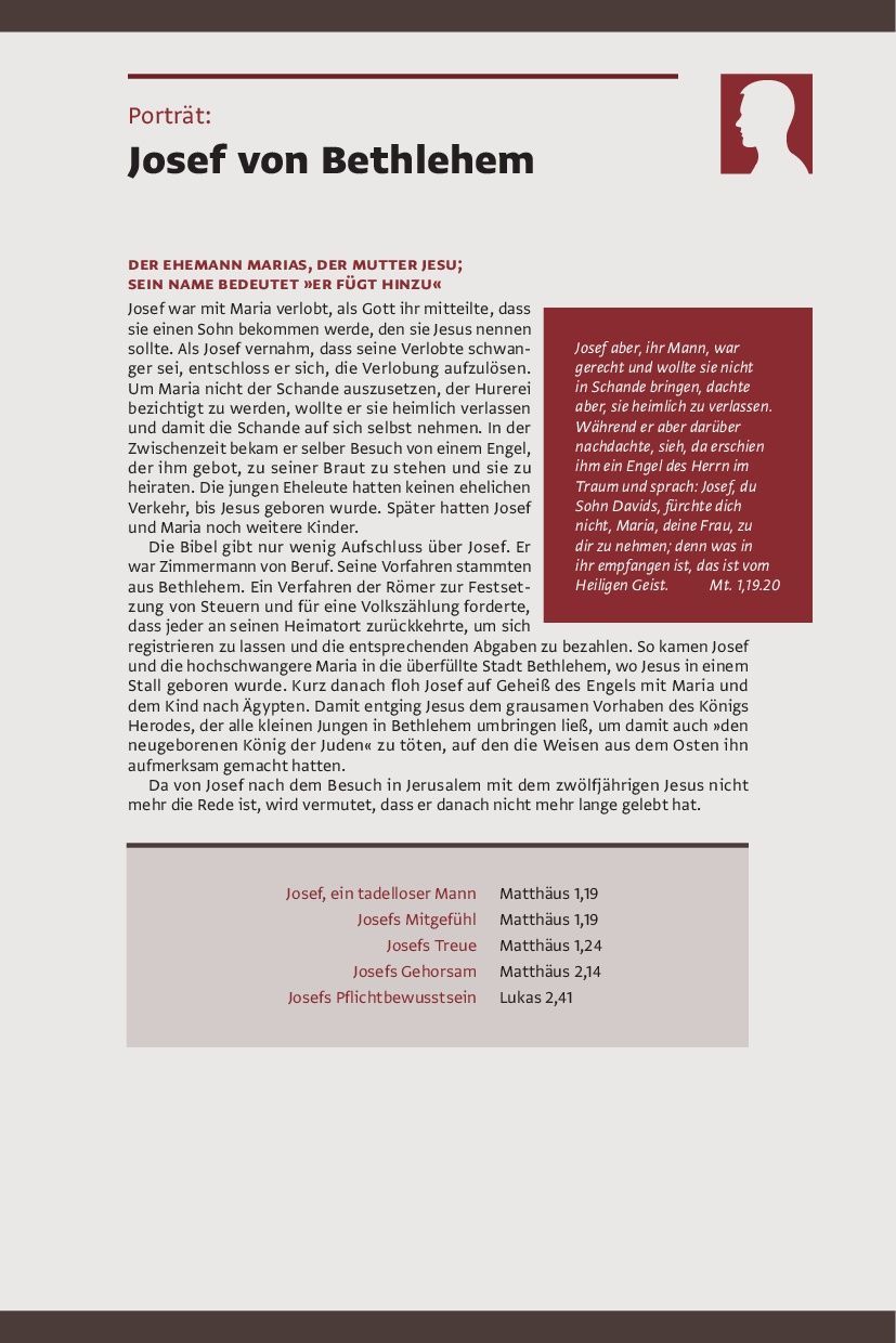 La Buona Novella-Bibel, Luther21, Thompson, Standard, braun_2942008_