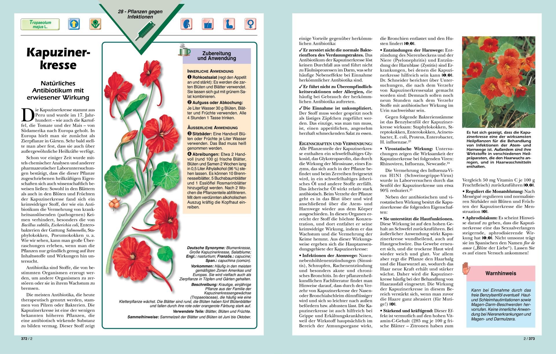 Top Life Center - Wegweiser Verlag-Serie: SGB: Heilkräfte der Pflanzen, Bände 1-2_2231110_