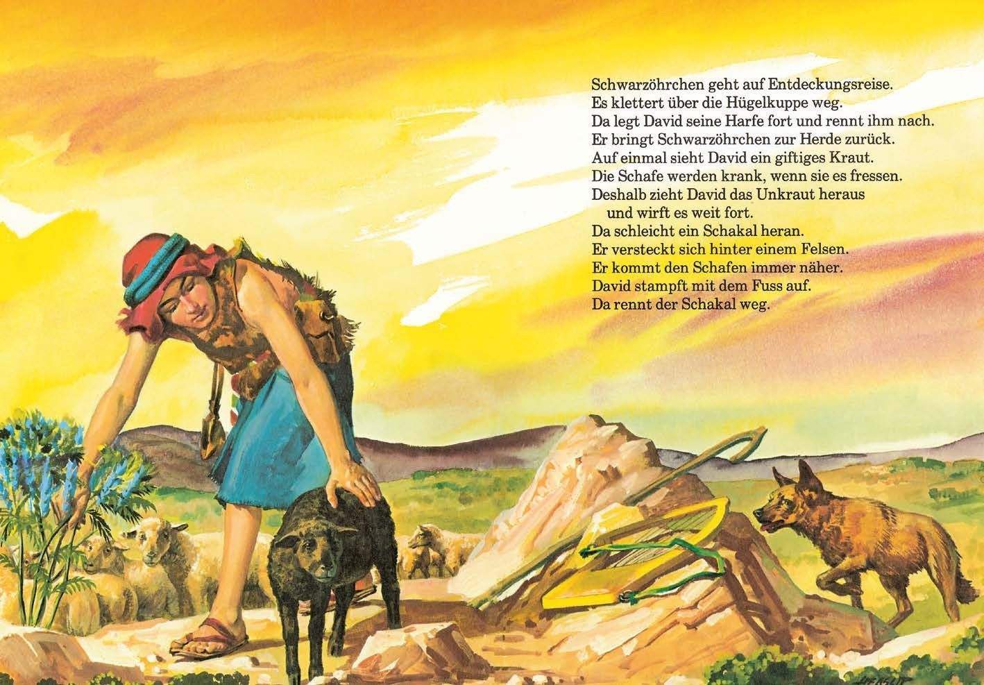 Advent-Verlag Schweiz-Meine Lieblingsgeschichten, David, der Jüngste_2410276_7 Advent-Verlag Schweiz-Meine Lieblingsgeschichten, David, der Jüngste_2410276_