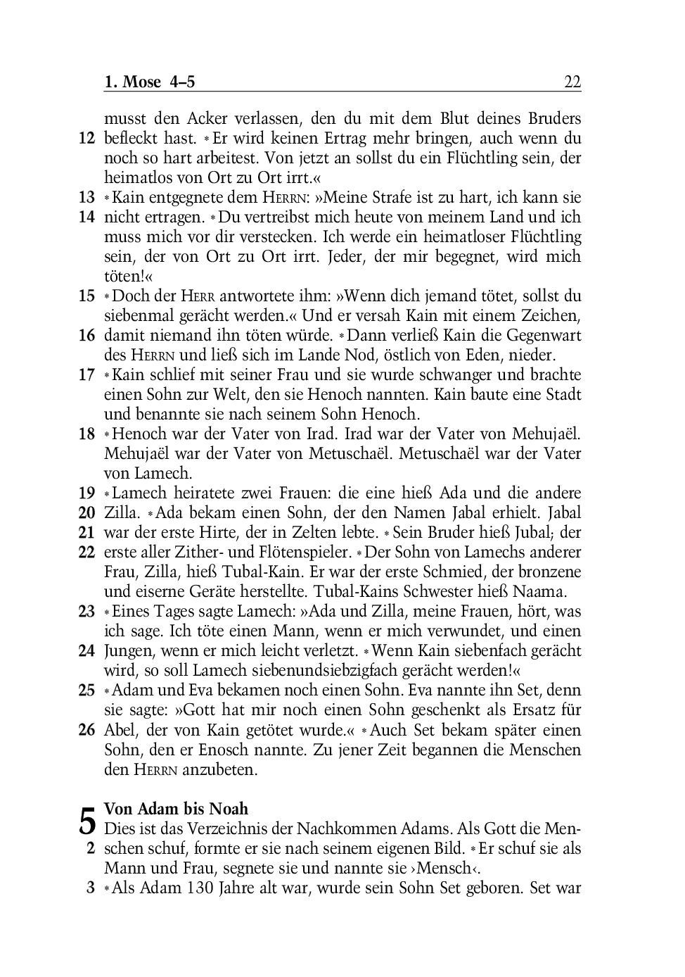 SCM Brockhaus-Bibel, Neues Leben, grosse Schrift_2942261_