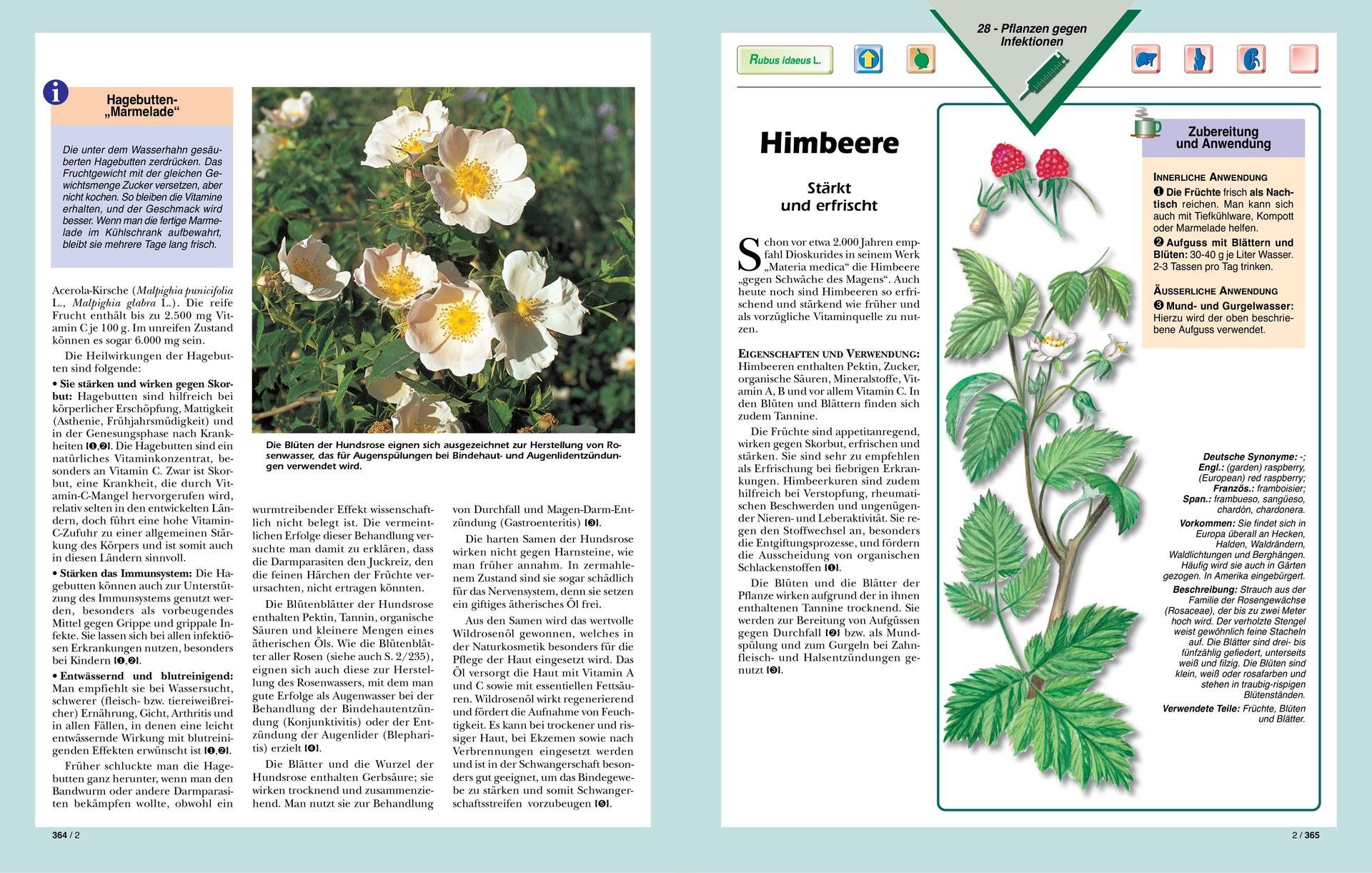 Top Life Center - Wegweiser Verlag-Serie: SGB: Heilkräfte der Pflanzen, Bände 1-2_2231110_