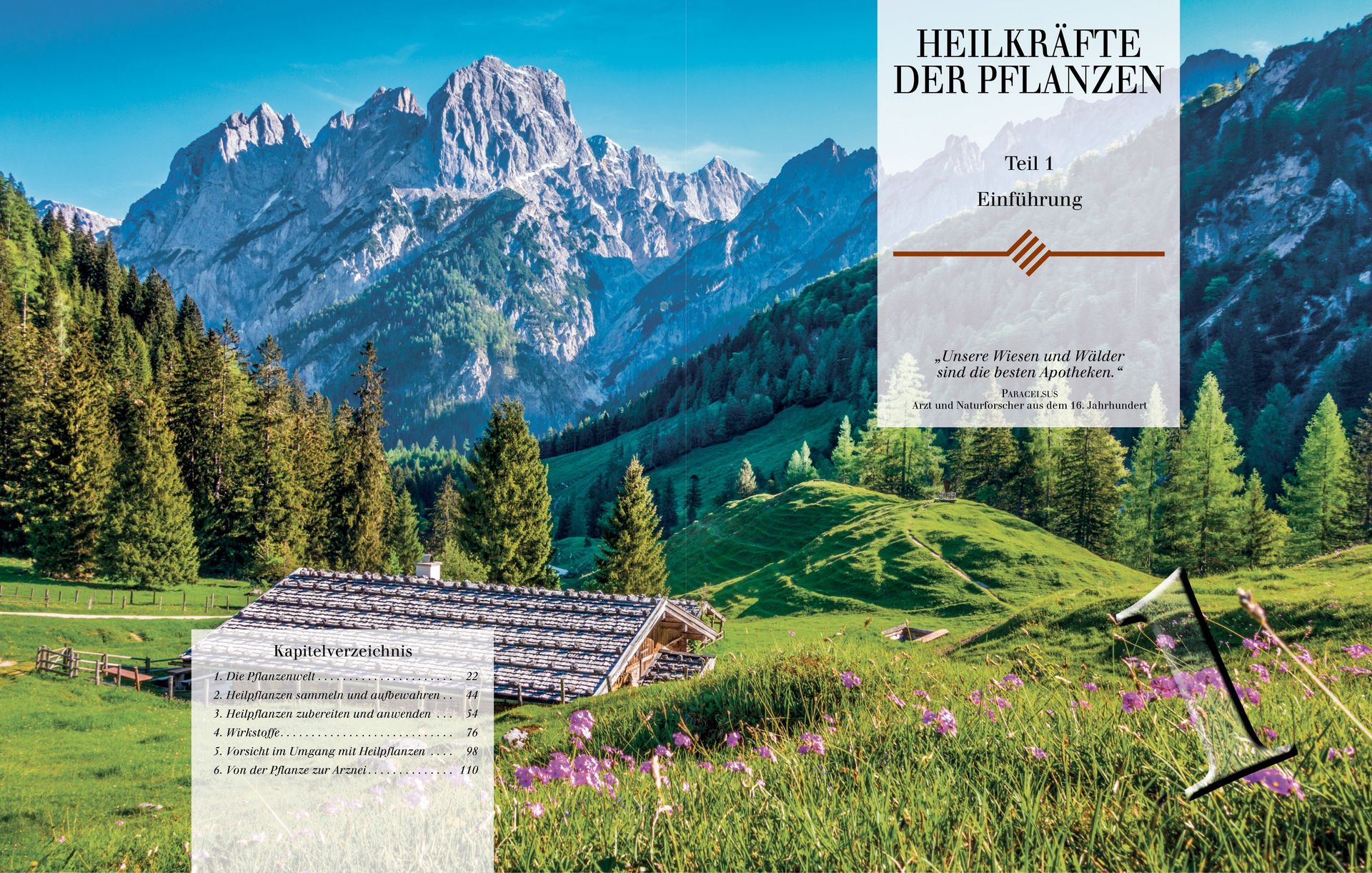 ABC Medien GmbH-SGB: Heilkräfte der Pflanzen, Band 1_2231082_
