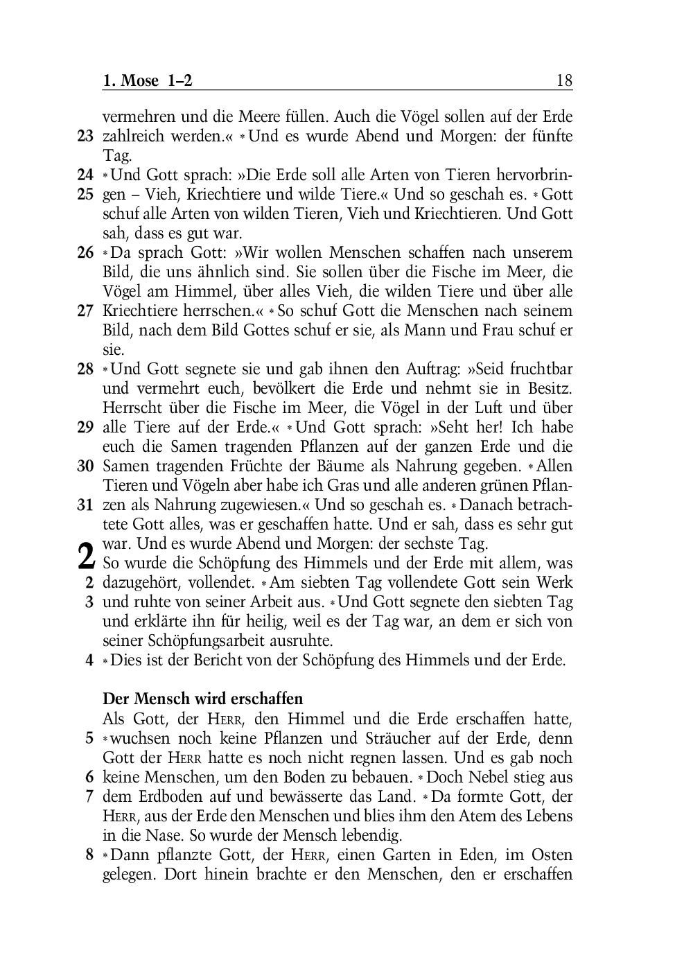 SCM Brockhaus-Bibel, Neues Leben, grosse Schrift_2942261_17 SCM Brockhaus-Bibel, Neues Leben, grosse Schrift_2942261_